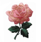 #4535 3 1/4&quot;アップリケ パッチのピンクのローズの花の刺繍の鉄