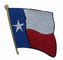 衣服のためのヴェルクロ刺繍パッチのテキサスの旗の鉄